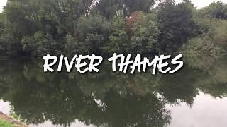 Underwater River Thames Runnymede Roach Perch Dace Skimmers