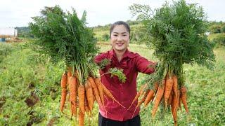 Countryside Life TV: Harvest carrot and cooking for children - Yummy carrot recipes