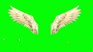 Green Screen Angel Wings video effects