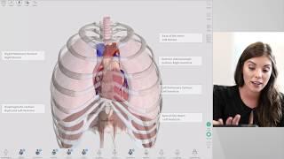 New Features of Complete Anatomy 2018 | Live