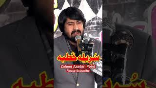 Zakir Alam Abbas Bhatti #khutba #viralshorts #latestmajalis #youtubeshorts #zaheerazadaripoint