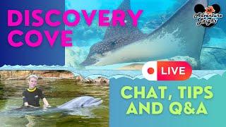 Discovery Cove Q&A, Tips, and Our Experience | Orlando Marine Theme Park Resort