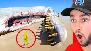 Craziest Discoveries Ever Found in the World!