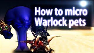 Xuen | How to micro-manage Warlock pets with the use of macros | Classic WoW