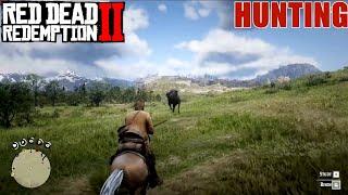 Red Dead Redemption 2 : Hunting and Skinning