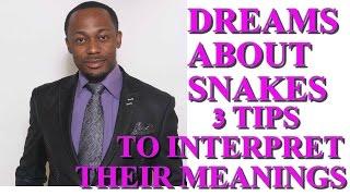 Dreams About Snakes: Explained