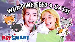 Come with us to the Pet Store! *BUYING FOOD FOR 4 CATS *