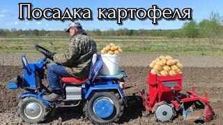 Посадка картофеля под мотоблок!!! Навесная сажалка.