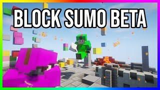 MInecraft Block Sumo | Bedwars Practice