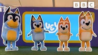 BLUEY THEME TUNE: Boogie with Bluey! | CBeebies