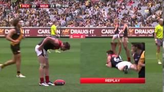 Aidan Riley's First Goal for Melbourne - Round 9, 2014