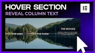 Elementor Text Over Image Section On Hover | Column Hover Animation