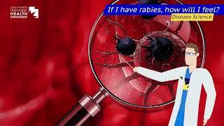 Learn About Rabies
