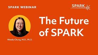 The Future of SPARK