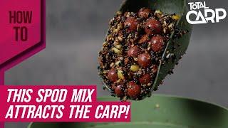 The perfect spod mix for this spring and summer!