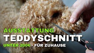 Zwergpudel Teddyschnitt Ausstattung für Zuhause - Alle Hilfsmittel die wir nutzen