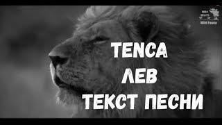 TENCA - Лев (Субтитры\Текст песни)