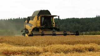 Harvesting with Brand New CX8.80 from New Holland.  Also Changing Fields, Removing Header.