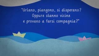 Booktrailer AMMARE