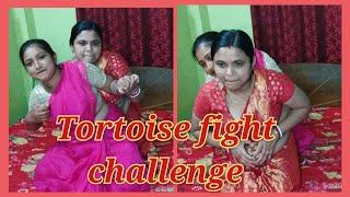 #Tortoise fight challenge