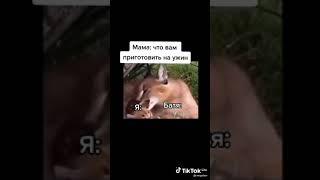 шлепа и шлепок #мемы  #мем #meme #шлепа