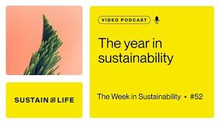 Reflecting on a year of strides and struggles in sustainability // The Week in Sustainability