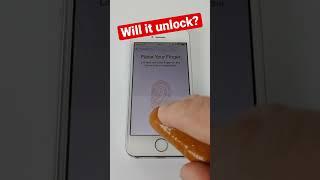 Hotdog Unlocks iPhone? #iphone #hotdog #geekanoids