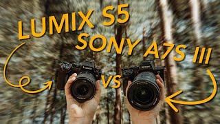 Sony A7s iii vs Lumix S5 - Wait, Sony Isn't The Low Light King?!