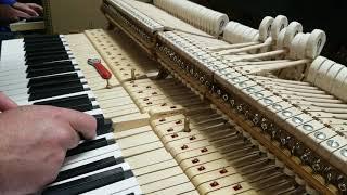 How to Fix a Clicking Key on a Steinway Grand (caused by a loose key lead)