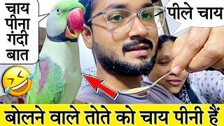 बोलने वाले तोते को चाय पीनी हैं  | बोलने वाला तोता | #bolnewalaparrot #talkingparrot #mitthu #pet