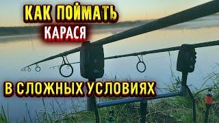 Ловля КАРАСЯ в сложных условиях на ФЛЭТ ФИДЕР как связать рабочий поводок для ФЛЭТа