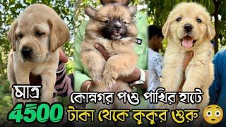 4500 টাকায় কুকুর শুরু | Konnagar Pet Market | Recent Dog Puppy Price Update | Konnagar Dog Market