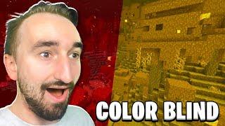 Minecraft But I'm NOT Colorblind