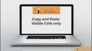 Copy and Paste  Visible cells only in Excel