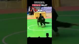 Tutorial: Pencak silat technique. #silat #martialarts #mma #fighter