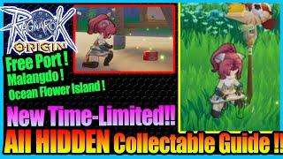 New All Hidden Gameplay Collection Items!! Detailed Guide with Map!! [Ragnarok Origin Global]