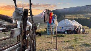 Life in the Mountains of Kazakhstan. A day with Kazakh nomads