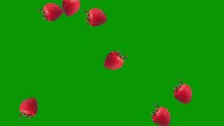 Free Green Screen : Strawberries Falling Animation : Copyright Free Video : Chroma Key