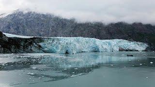 The Changing Arctic Carbon Cycle with Aleya Kaushik