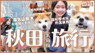 日本東北 秋田三天兩夜深旅行｜能跟秋田犬玩的溫泉旅館 森吉山珍貴樹冰 秋田內陸鐵道乘車 蕎麥麵製作體驗 工藝品DIY 美食美酒 歷史文藝景點 秋田獵人文化｜4K VLOG