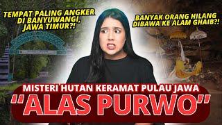 HUTAN KERAMAT "ALAS PURWO" | #NERROR