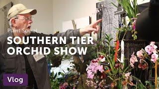 Southern Tier ORCHID SOCIETY Show — Vlog 061