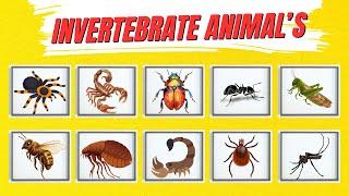 Invertebrate Animals for Kids | Fun Learning Adventure for Toddlers