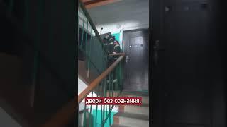 Добрые новости! Сотрудники МЧС спасли кошку Мурку.