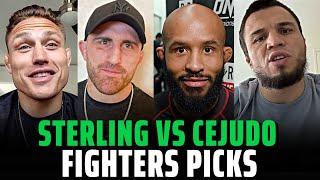 UFC 288: Aljamain Sterling vs. Henry Cejudo fighters picks