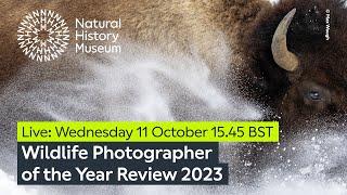 Wildlife Photographer of the Year Review 2023