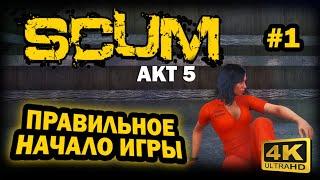 SCUM  4К. АКТ 5. Глава 1: ПРАВИЛЬНОЕ НАЧАЛО ИГРЫ | СКАМ 2024 | ОБУЧЕНИЕ ДЛЯ НОВИЧКОВ. ГАЙД.