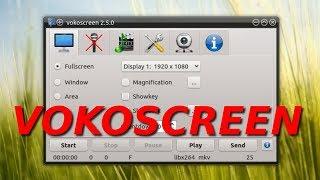 How to Record Desktop in Linux with VOKOSCREEN