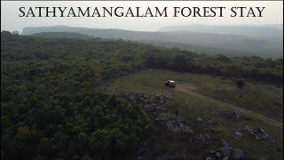 Sathyamangalam Tiger Reserve | Forest Stay