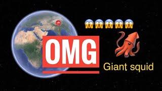 #310 omg  giant squid  in google earth #shorts